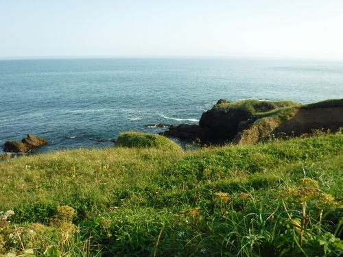 2019_0804_16262800.jpg