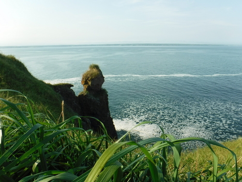 2019_0804_16271400.jpg