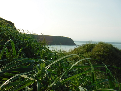 2019_0804_16272200.jpg