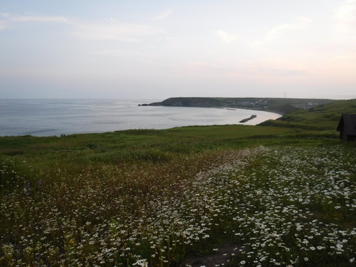 2019_0804_18353600.jpg