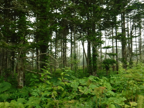 2019_0805_12344200.jpg