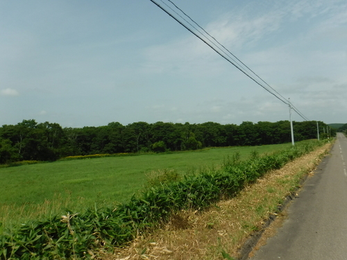 2019_0807_10583400.jpg