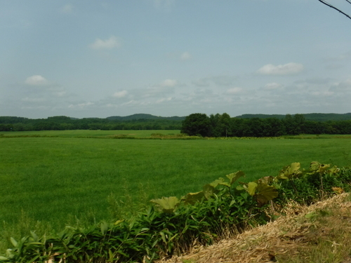 2019_0807_11352800.jpg