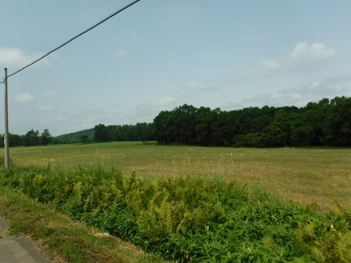 2019_0807_11400900.jpg