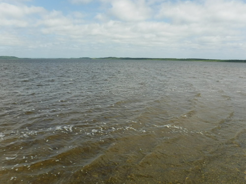 2020_0730_08460100.jpg