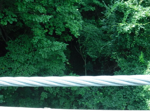 2020_0802_09055500.jpg