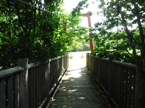 2020_0802_09061000.jpg