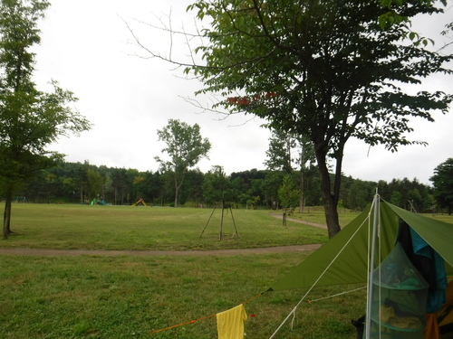 2020_0806_15390500.jpg