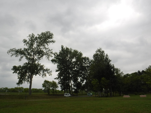 2020_0807_10373200.jpg