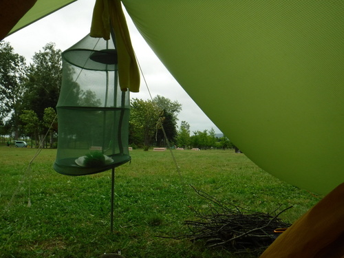 2020_0807_13111000.jpg