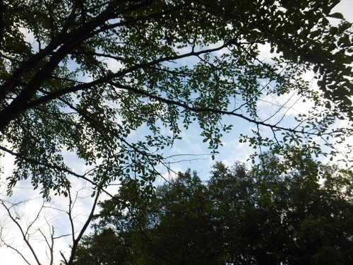 2020_0807_17435600.jpg