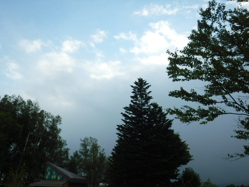 2020_0807_17463300.jpg