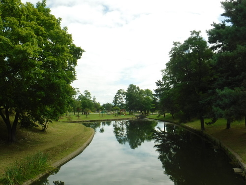 2020_0809_09291300.jpg