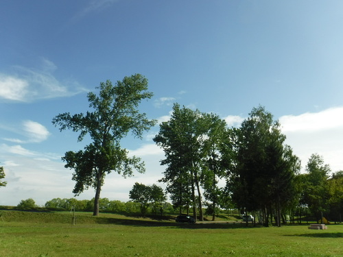 2020_0811_08043500.jpg