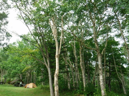 2020_0814_07595900.jpg