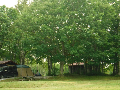 2020_0814_08004900.jpg