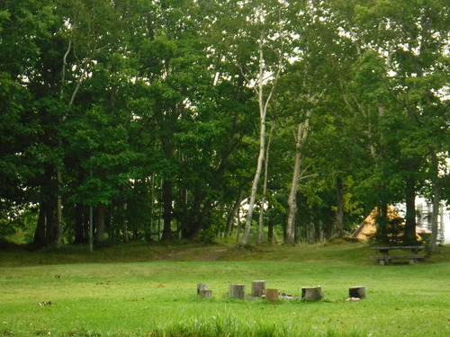 2020_0814_08005700.jpg