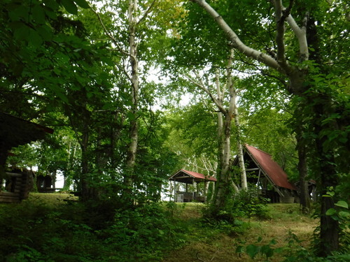 2020_0814_12140500.jpg