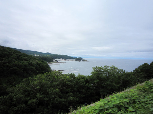 896.jpg