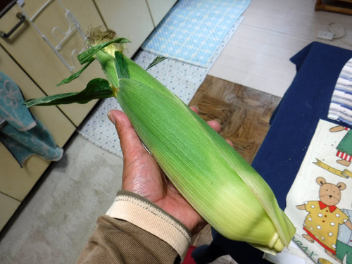DSCF4422.jpg