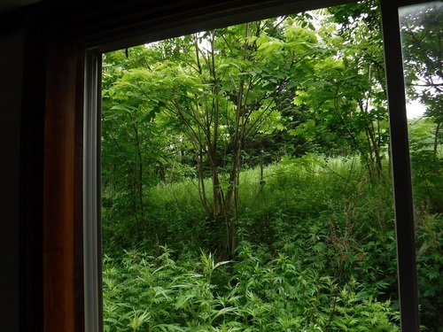 DSCF5316.jpg