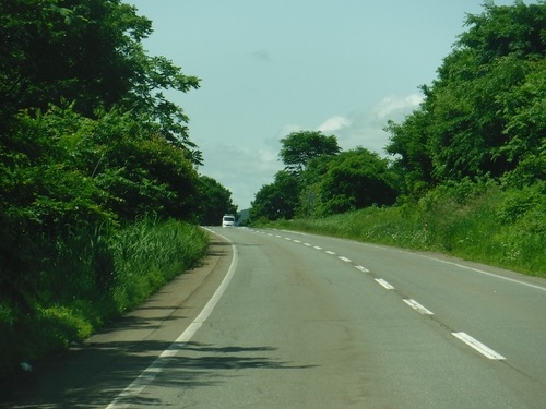 DSCF5321.jpg
