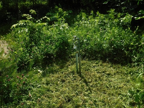 DSCF5357.jpg