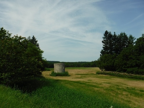 DSCF5381.jpg