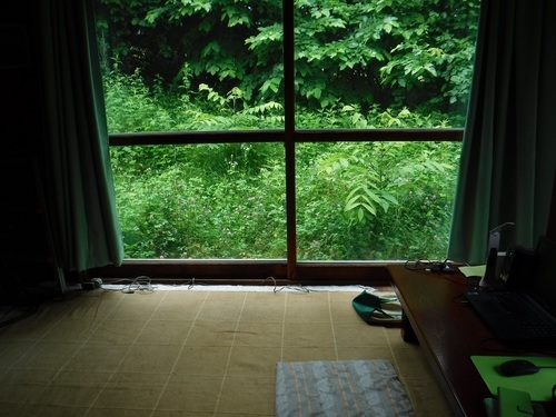 DSCF5459.jpg