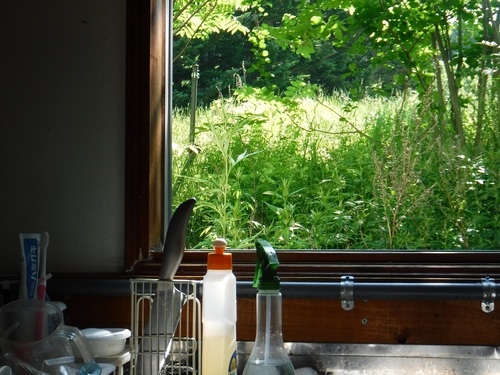 DSCF5484.jpg