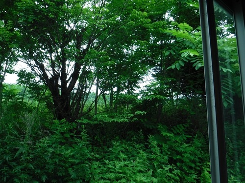DSCF5522.jpg