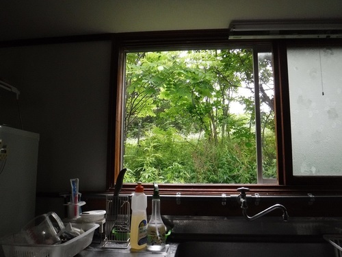 DSCF5559.jpg
