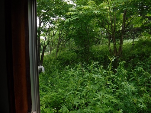 DSCF5560.jpg