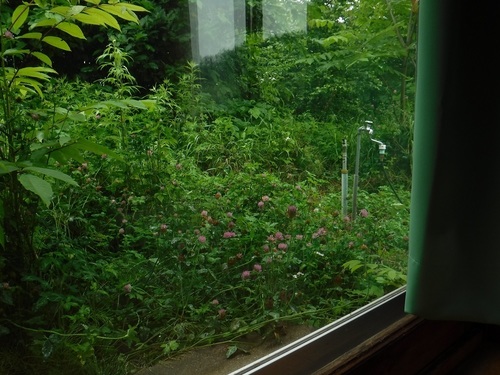 DSCF5561.jpg