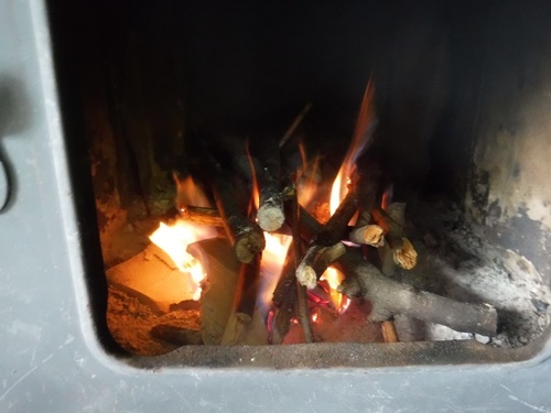 DSCF5563.jpg