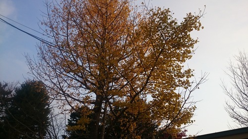 DSC_0034.JPG