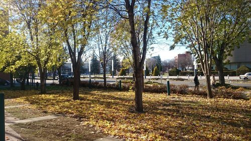 DSC_0113.JPG