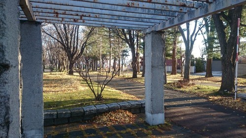 DSC_0140.JPG