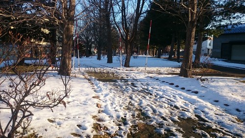 DSC_0217.JPG