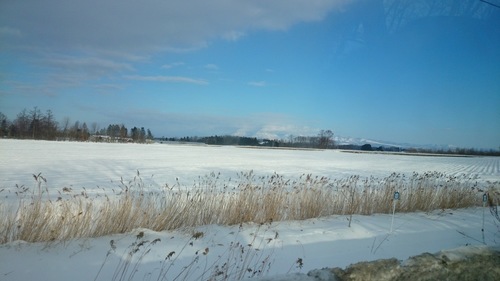 DSC_1594.JPG