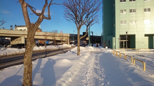 DSC_1618.JPG
