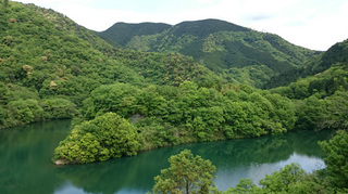 DSC_1631.JPG