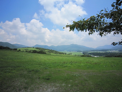 IMG_1546.jpg
