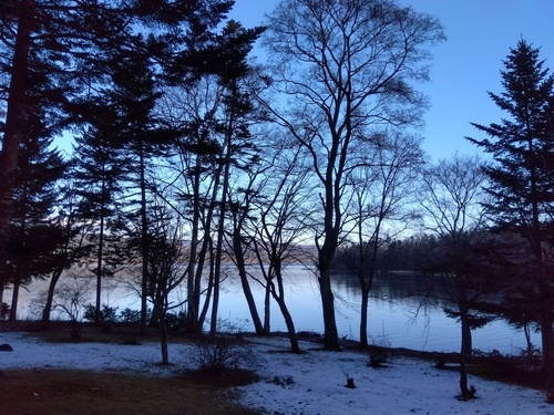 IMG_2023-12-04-08-33-06-253.jpg
