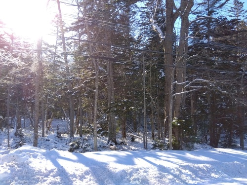 IMG_2023-12-19-11-09-07-985.jpg