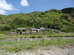 P4300050.jpg