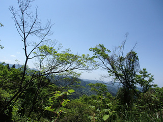 P5010120.jpg