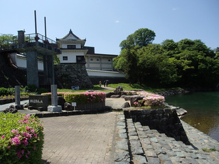 P5020142.jpg