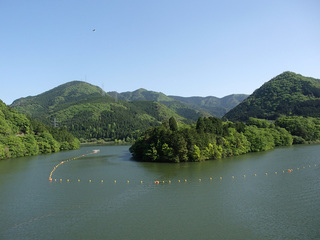 P5020183.jpg