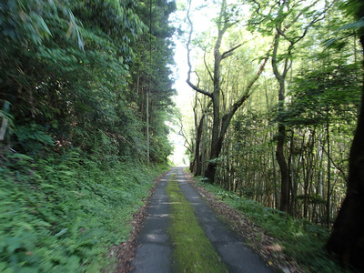 P5200068.jpg